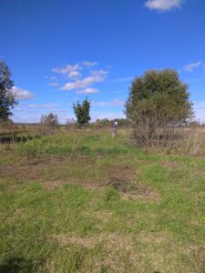 Поле на месте усадьбы Белова в Скоково — история усадьбы Белова